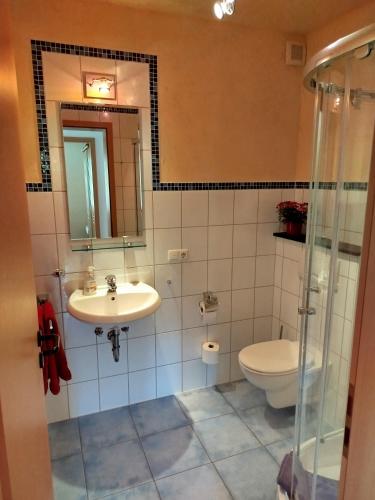 a bathroom with a sink and a toilet and a mirror at Ferienwohnung Brigatt in Klotten