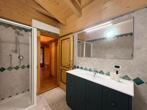 a bathroom with a sink and a shower at Cèsa Aurora in Canazei