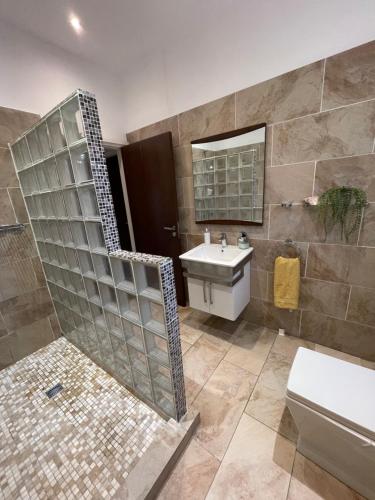 a bathroom with a shower and a sink and a toilet at Villa Balmoral in Peyia