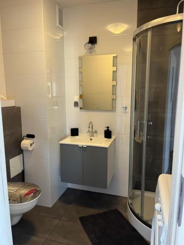 a bathroom with a sink and a shower and a toilet at Studio Green in Świebodzice