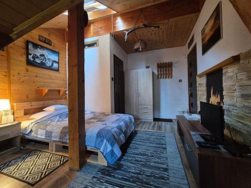 a bedroom with a bed and a tv in it at Willa Helena in Cisna