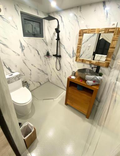 a bathroom with a toilet and a sink and a mirror at Moderne Lodge Tropical in Les Abymes
