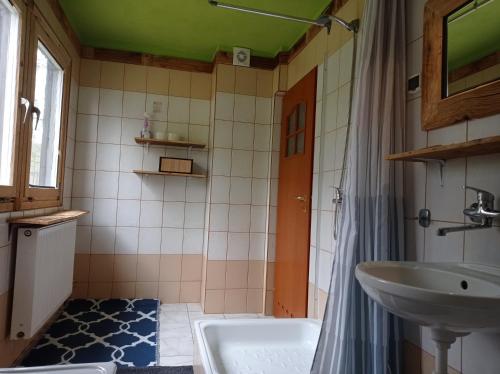 a bathroom with a sink and a toilet and a tub at Wilcze Schronisko in Czerniki