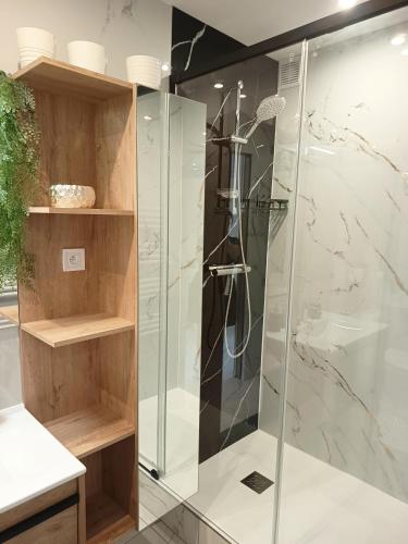 a shower with a glass enclosure in a bathroom at LA LIBELLULE de PROVENCE in Morières-lès-Avignon
