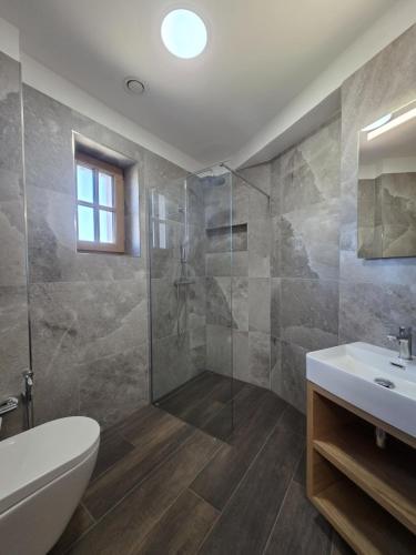 a bathroom with a shower and a toilet and a sink at hostINNec in Dolní Dvořiště