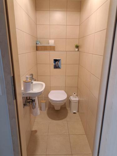 a small bathroom with a toilet and a sink at Aqua Apartman Panoráma in Velence
