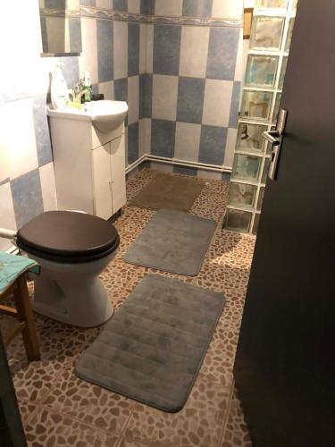a bathroom with a toilet and a sink and two mats at Cabana Drumetului Borzesti in Borzeşti