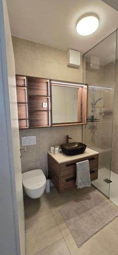 a bathroom with a toilet and a sink and a mirror at Sunlit Oasis Garden in Postojna