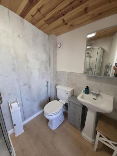 a bathroom with a white toilet and a sink at Downside Annexe in Woolacombe