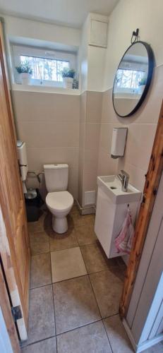 ein Badezimmer mit Toilette, Waschbecken und Spiegel in der Unterkunft Lejupes in Plānupe
