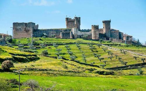 un castillo en lo alto de un exuberante campo verde en El Huésped del Sevillano AR en Lagartera