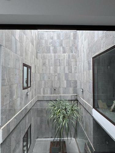 a bathroom with a potted plant in the corner at The C'mon Mộc Châu in Làng Môn