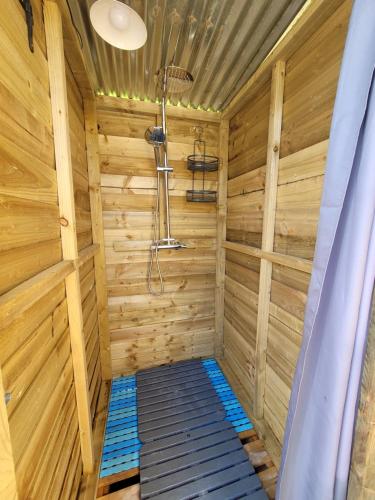 a sauna with a shower in a wooden cabin at Private Luxury Glamping surrounded by wildlife in Pembrokeshire