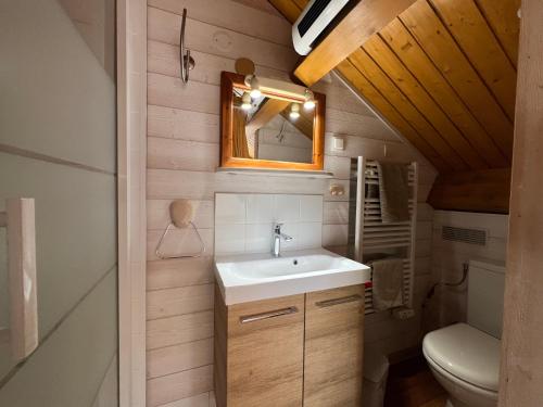 a bathroom with a sink and a toilet at Chalet confort avec cheminée in Camprieu