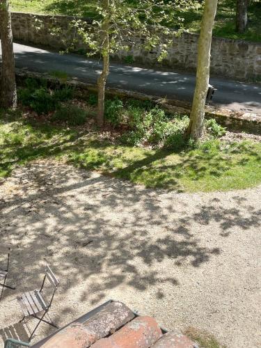 a chair sitting on the ground in a park with trees at Villa Doubledot in Piane di Montorio
