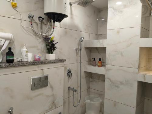 a bathroom with a shower and a toilet and a sink at Gianmala Residency South Ex New Delhi in New Delhi