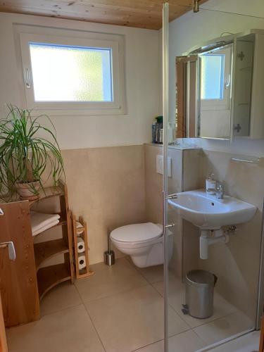 a bathroom with a toilet and a sink at 2-Zimmer Ferienwohnung,Parterre,Sitzplatz,Garage in Adelboden