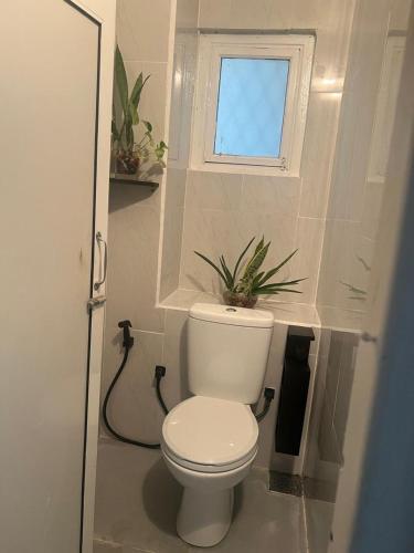 a bathroom with a toilet with a window and a plant at Two room flat in colombo 5 in Narahenpita