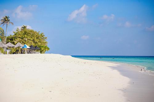 a sandy beach with trees and the ocean at Arrival Beach and Spa in Gulhi