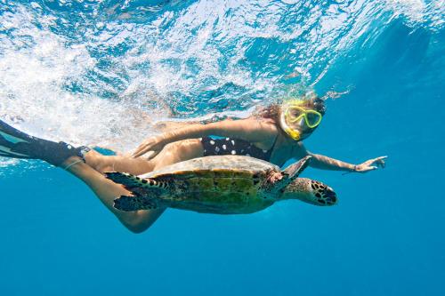 a woman swimming with a turtle in the water at Arrival Beach and Spa in Gulhi