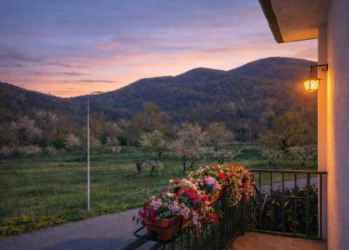 a balcony with a bunch of flowers on a fence at Noi - Casa vacanza in Attimis