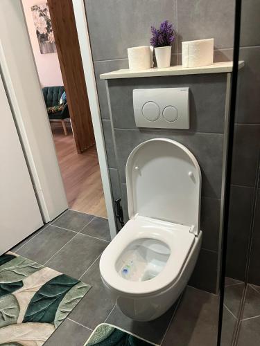 a bathroom with a white toilet in a stall at Rooms Lami in Dubrovnik