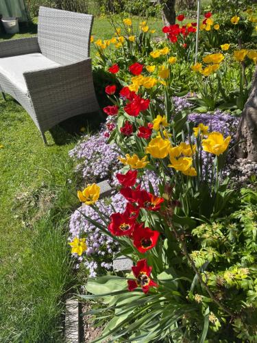 a garden with colorful flowers and a bench at Haus Deutsch Berg-See- und Schloss Neuschwanstein Nähe in Roßhaupten