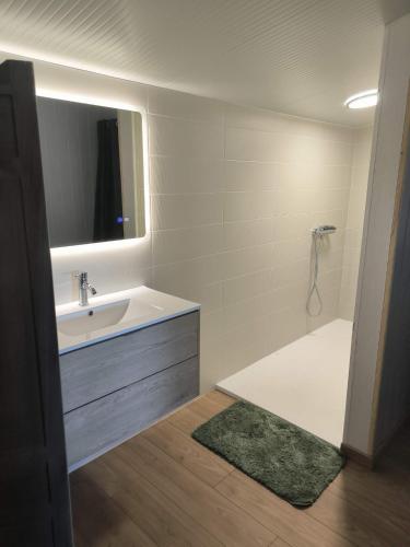 a bathroom with a sink and a mirror at Studio 80m2 a la ferme tout confort in Courdemanche