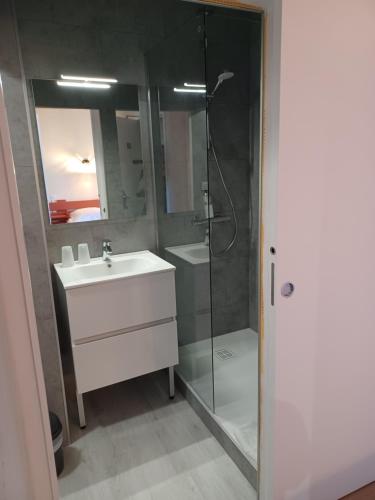 a bathroom with a sink and a glass shower at Hotel Le Colibri in Aix-les-Bains