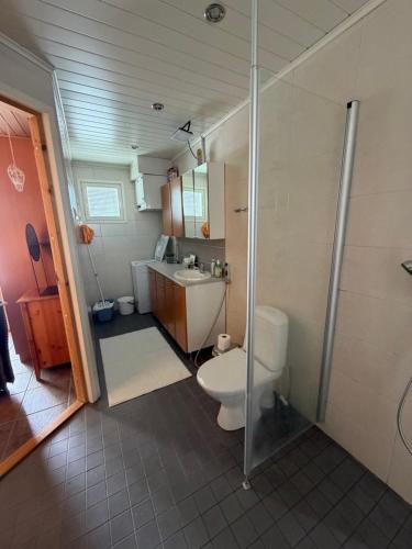 a bathroom with a toilet and a sink and a shower at Kilpis-Silent Apartment in Kilpisjärvi
