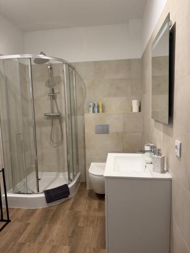 a bathroom with a shower and a sink and a toilet at Apartament between the bridges II in Zgorzelec