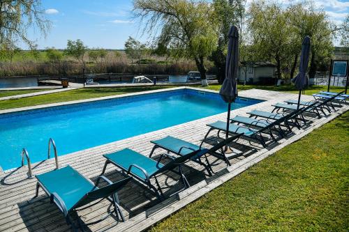 a swimming pool with lounge chairs and umbrellas at Pike Inn Bucătărie Autentică & Cazare cu Farmec in Dunavăţu de Sus