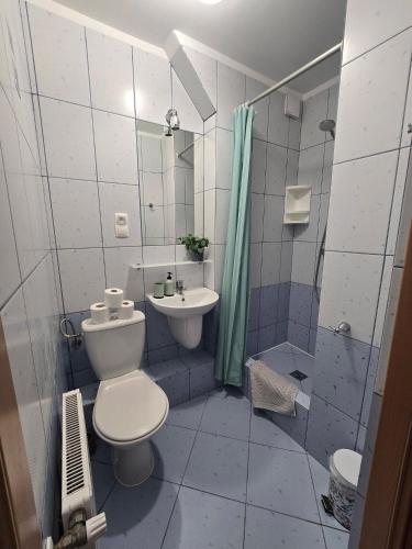 a bathroom with a toilet and a sink and a shower at Dom Wczasowy Larix in Rewal
