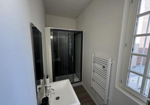 a white bathroom with a shower and a sink at Duplex Royal Château Compiègne in Compiègne