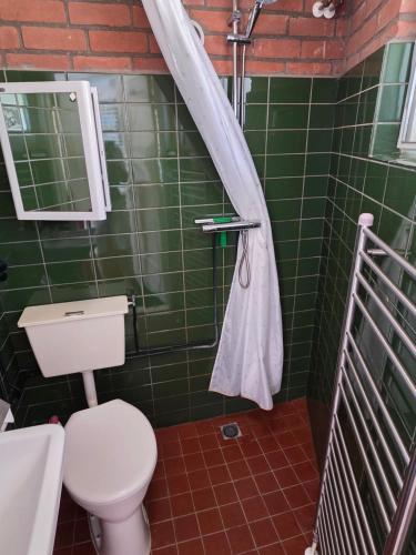 a green tiled bathroom with a toilet and a shower at View at the Lake in Nieuwe-Niedorp