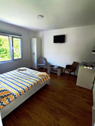 a bedroom with a bed and a tv in it at Pavle Petra apartments in Mitrovići