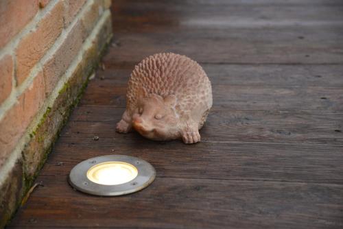 a small porcupine standing next to a feeding bowl at Dolce Casetta in Faenza