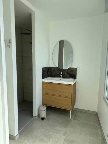 a bathroom with a sink and a mirror at La Bergerie 3 in Neufchâteau