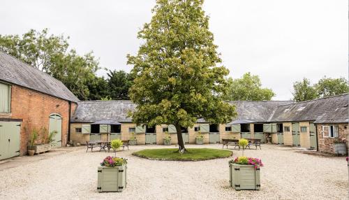 a courtyard with a tree and tables and chairs at Hill Farm in Oxford