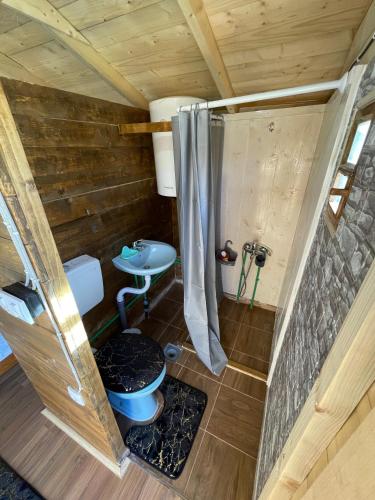 a small bathroom with a toilet and a sink at Bujtina Selimaj in Plav