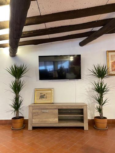 a flat screen tv on a wall with two potted plants at Dúplex con encanto EL PATI in Tarragona