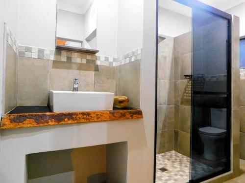 a bathroom with a sink and a shower at Mountain Manor in Louis Trichardt