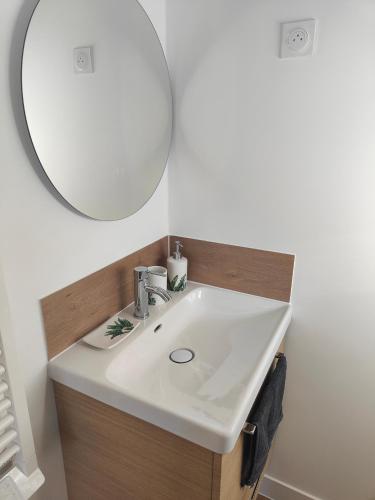 a bathroom with a white sink and a mirror at L'Escale in Penvénan