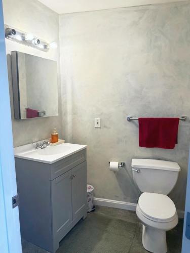 a bathroom with a toilet and a sink and a mirror at Charming Urban Zen in Cleveland