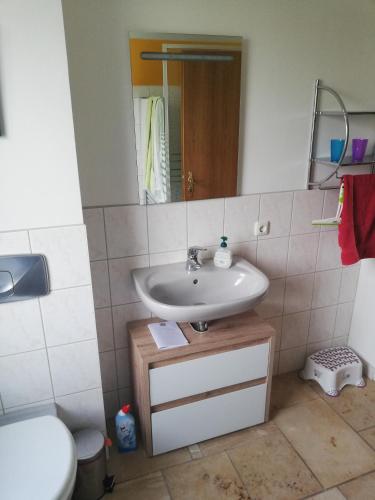 a bathroom with a sink and a toilet and a mirror at Perdöhl-Wittenburg in Wittenburg