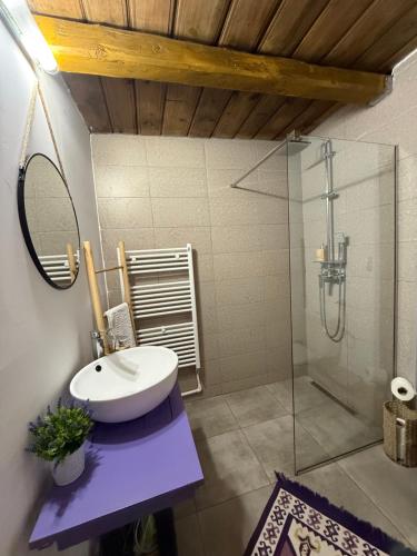 a bathroom with a sink and a glass shower at Casa cu Lavanda in Petroşani