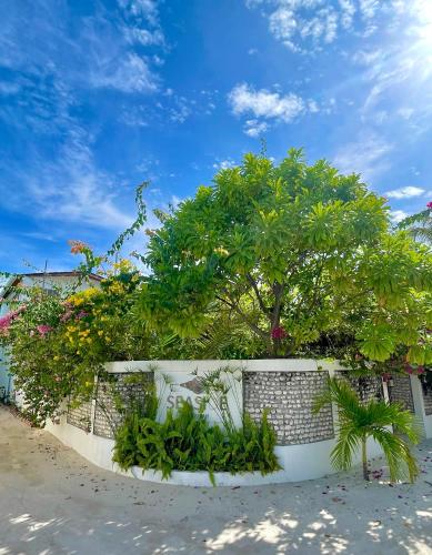 a tree on a wall with flowers and plants at Seaside Dhigurah in Dhigurah