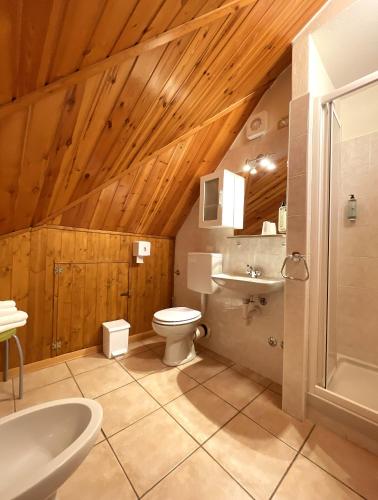 a bathroom with a white toilet and a sink at Hotel La Rosa in Teglio