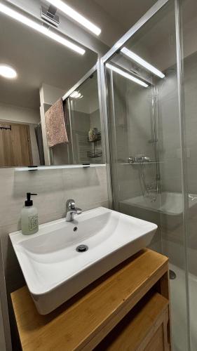 a bathroom with a white sink and a shower at Riverside Vrchlabí in Vrchlabí