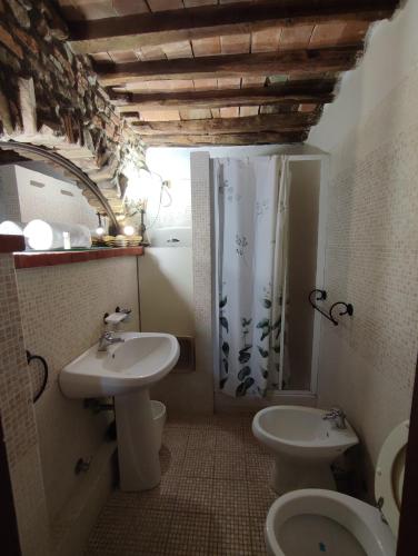 a bathroom with a sink and a toilet and a shower at Alla Meria in Castiglione della Pescaia